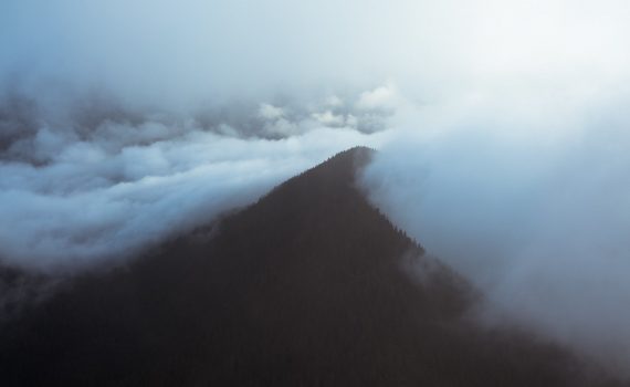 mountain peak covered with forest in fog
